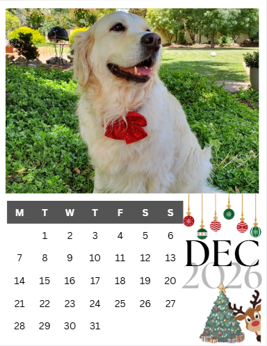 Magnetic Photo Calendar - Occasion