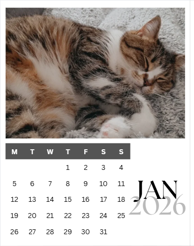 Magnetic Photo Calendar
